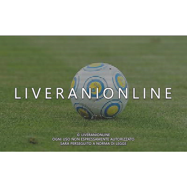 17¡ UEFA European U21 Championship 2007/2009 MD1 GroupA Helsingborg - 16.06.2009 Italia-Serbia Nella Foto:PALLONE EUROPEI /Ph.Vitez-Ag. Aldo Liverani