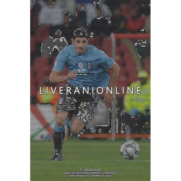 iaquinta vincenzo(italy ) , JUNE 18, 2009 - Football : fifa confederation cup south africa 2009 ,Group Stage B, final match between Egypt 1-0 Italy at Ellis park Stadium ,Johannesburg, South Africa Egitto - Italia Confederation Cup Sud Africa 18/06/2009 ©Agenzia Aldo Liverani Sas 