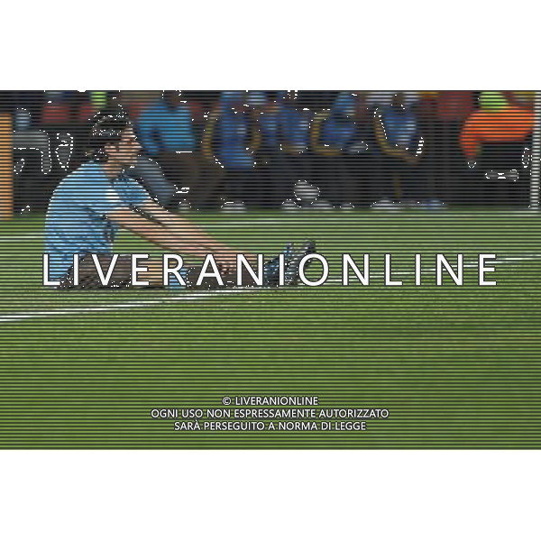 iaquinta vincenzo(italy ) , JUNE 18, 2009 - Football : fifa confederation cup south africa 2009 ,Group Stage B, final match between Egypt 1-0 Italy at Ellis park Stadium ,Johannesburg, South Africa Egitto - Italia Confederation Cup Sud Africa 18/06/2009 ©Agenzia Aldo Liverani Sas 