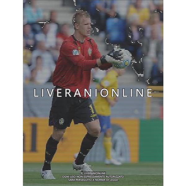 17¡ UEFA European U21 Championship 2007/2009 MD2 GroupA Helsingborg - 19.06.2009 Svezia-Italia Nella Foto:DAHLIN JOHAN /Ph.Vitez-Ag. Aldo Liverani