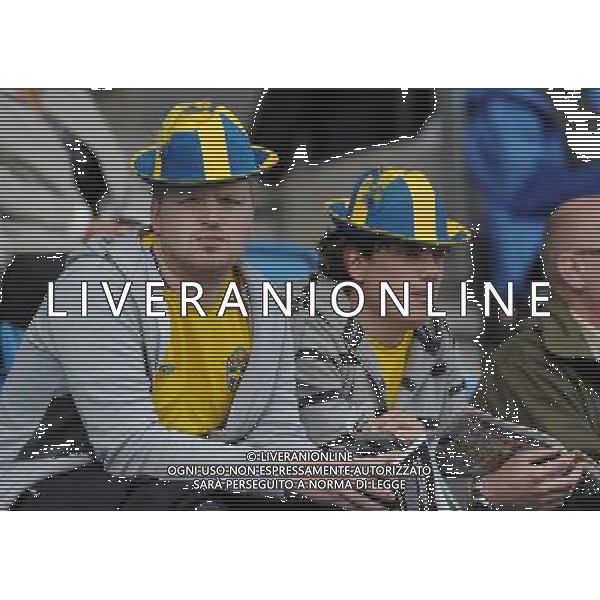 17¡ UEFA European U21 Championship 2007/2009 MD2 GroupA Helsingborg - 19.06.2009 Svezia-Italia Nella Foto:TIFOSI SVEZIA /Ph.Vitez-Ag. Aldo Liverani