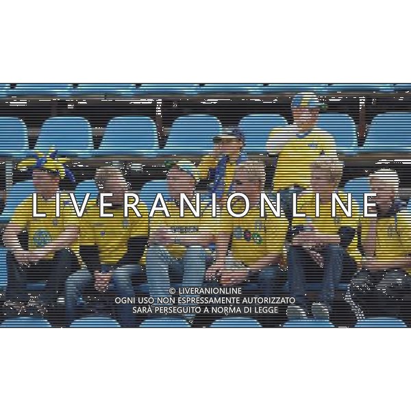 17¡ UEFA European U21 Championship 2007/2009 MD2 GroupA Helsingborg - 19.06.2009 Svezia-Italia Nella Foto:TIFOSI SVEZIA /Ph.Vitez-Ag. Aldo Liverani