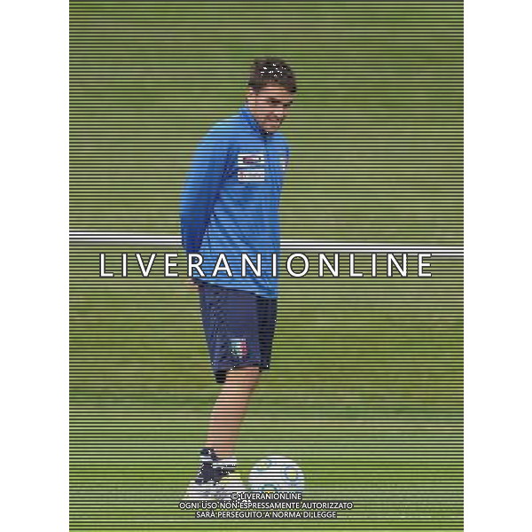 17¡ UEFA European U21 Championship 2007/2009 Helsingborg - 20.06.2009 Allenamento Italia Nella Foto:CIGARINI LUCA /Ph.Vitez-Ag. Aldo Liverani