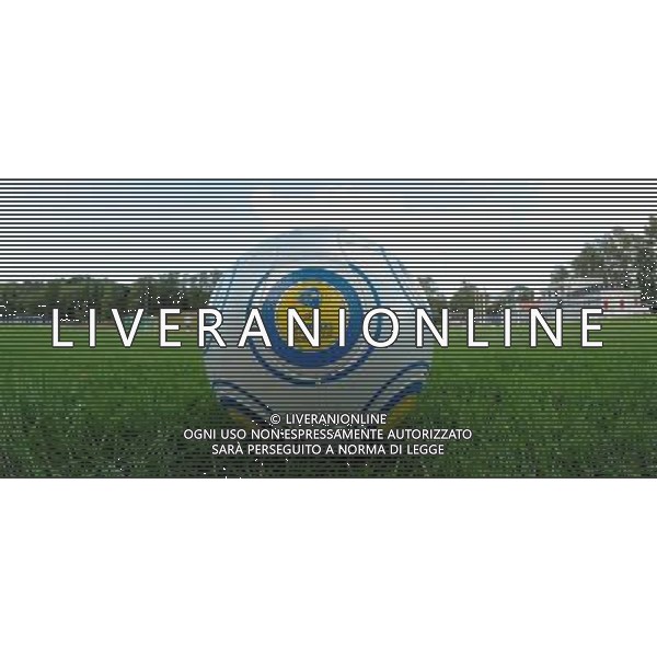 17¡ UEFA European U21 Championship 2007/2009 Helsingborg - 20.06.2009 Allenamento Italia Nella Foto:PALLONE EUROPEI E CAMPO ALLENAMENTO ITALIA /Ph.Vitez-Ag. Aldo Liverani