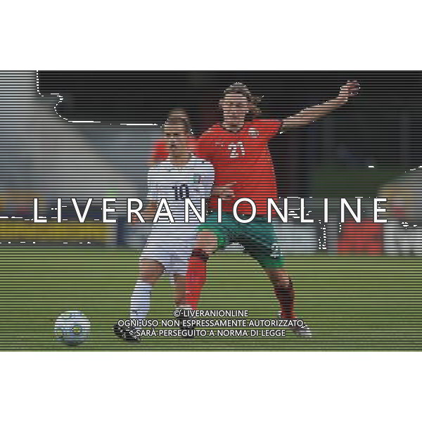 17o UEFA European U21 Championship 2007/2009 MD3 GroupA Helsingborg - 23.06.2009 Bielorussia-Italia Nella Foto:GIOVINCO-SIVAKOV /Ph.Vitez-Ag. Aldo Liverani