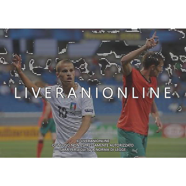 17o UEFA European U21 Championship 2007/2009 Helsingborg - 23.06.2009 Bielorussia-Italia Nella Foto: SEBASTIAN GIOVINCO /Ph.Vitez-Ag. Aldo Liverani