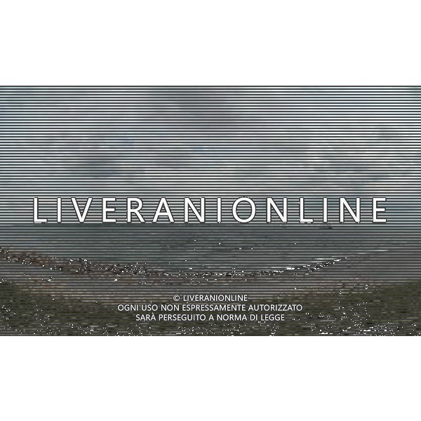 Cittˆ di Helsingborg - Danimarca Nella Foto: /Ph.Vitez-Ag. Aldo Liverani