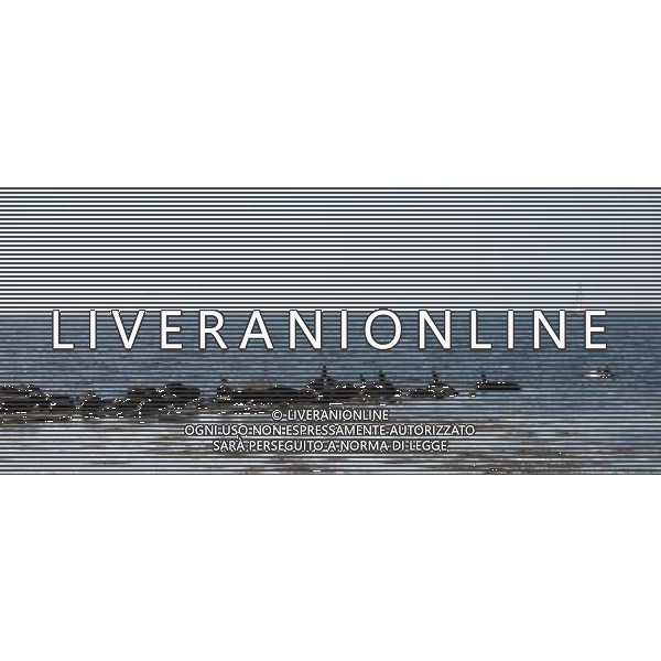 La Citta\' di Helsingborg - Svezia 2009 ©Vitez/Agenzia Aldo Liverani Sas