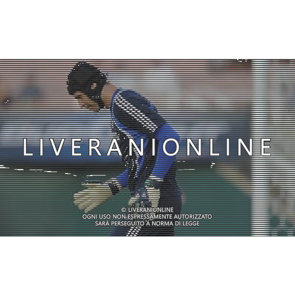 World Football Challange Tournament Pasadena-Rose Bowl Stadium (CA) - 21.07.2009 Chelsea-Inter Nella Foto:CECH PETR /Ph.Vitez-Ag. Aldo Liverani