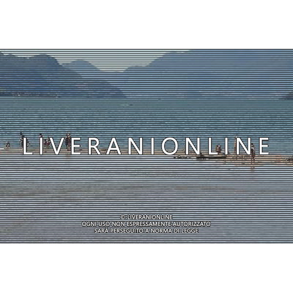 GRAVEDONA - LAGO DI COMO PANORAMICHE DEL PAESE IN ESTATE NELLA FOTO: PERSONE SI RINFRESCANO NEL LAGO © ANTONIO SORANO - AG. ALDO LIVERANI SAS