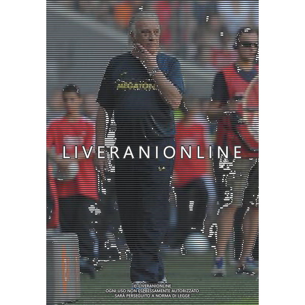 Audi Cup 2009 Monaco di Baviera - 29.07.2009 Boca Juniors-Manchester United Nella Foto: alfio BASILE /Ph.Vitez-Ag. Aldo Liverani sas