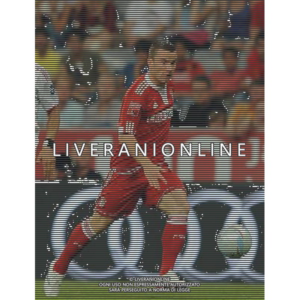 Audi Cup 2009 Monaco di Baviera - 29.07.2009 Bayern Monaco-Milan Nella Foto:BAUMJOHANN ALEXANDER /Ph.Vitez-Ag. Aldo Liverani