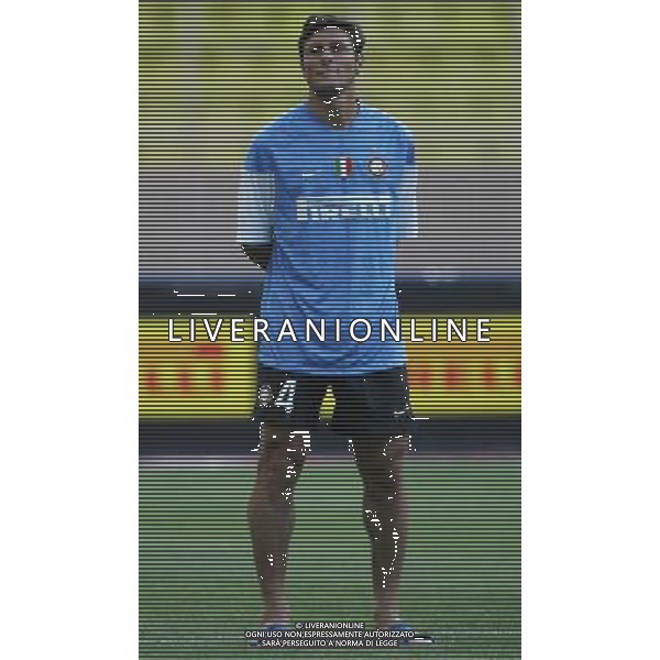 Montecarlo (Monaco) 30-07-2009 Trofeo Pirelli 2009 Monaco-Inter 0:1 nella foto javier zanetti ph marco luzzani/ag aldo liverani s.a.s.