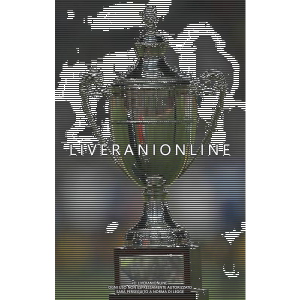 Montecarlo (Monaco) 30-07-2009 Trofeo Pirelli 2009 Monaco-Inter 0:1 nella foto trofeo pirelli ph marco luzzani/ag aldo liverani s.a.s.