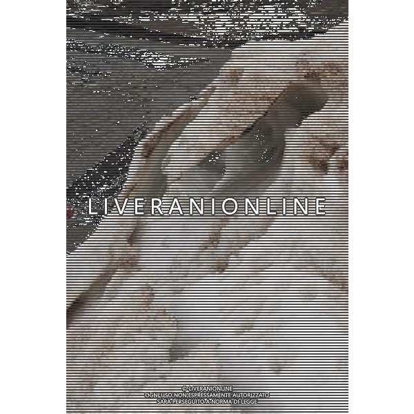 (090808) -- PUROG KANGRI, Aug. 8, 2009 -- Photo taken on Aug. 1, 2009 shows part of the glacier in Purog Kangri, southwest China\'s Tibet Autonomous Region. Purog Kangri glacier in Nagqu area of Tibet is considered to be the third largest in the world. Tang Zhaoming) (gj) Il ghiacciaio Purog Kangri, situato a sudovest della Cina nella regione autonoma del Tibet, e\' considerato il terzo piu\' grande al mondo - /Agenzia Aldo Liverani Sas - ITALY ONLY -