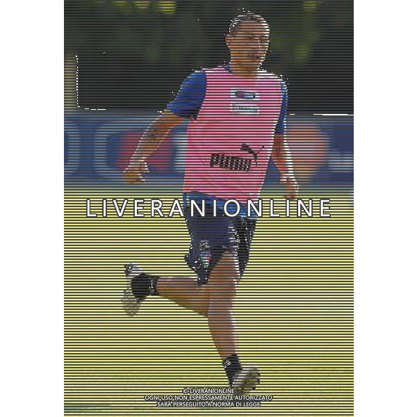 Raduno Nazionale Italiana a Coverciano Coverciano(FI) - 10.08.2009 Allenamento Nella Foto:PALOMBO angelo /Ph.Vitez-Ag. Aldo Liverani