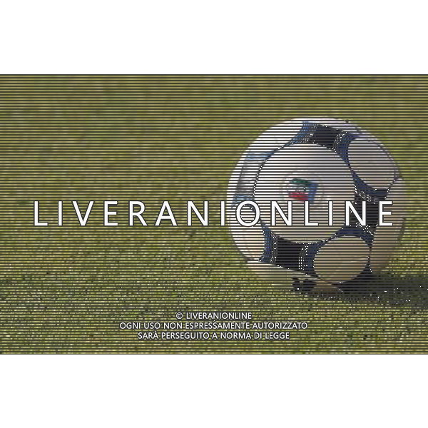 Raduno Nazionale Italiana a Coverciano Coverciano(FI) - 10.08.2009 Allenamento Nella Foto:PALLONE CALCIO ITALIA /Ph.Vitez-Ag. Aldo Liverani