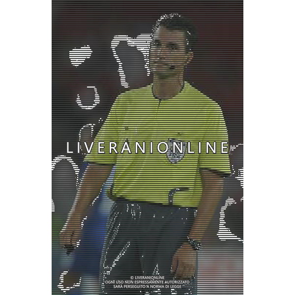 Svizzera - Italia partita amichevole della Nazionale Italiana a Basilea 12/08/2009 nella foto arbitro knut kircher ©Luzzani/Agenzia Aldo Liverani Sas