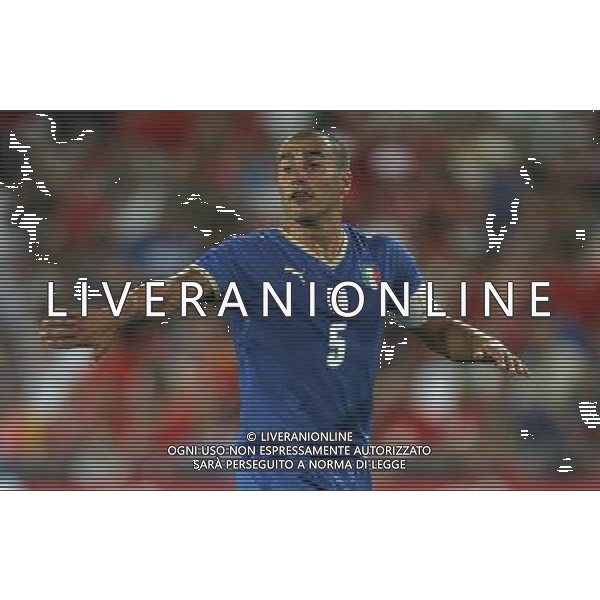 Basilea (CH) 12-08-2009 Amichevole Nazionale Italiana Calcio Svizzera-Italia 0:0 nella foto fabio cannavaro ph Marco Luzzani/ag. Aldo Liverani s.a.s.