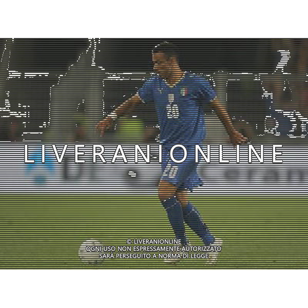 Basilea (CH) 12-08-2009 Amichevole Nazionale Italiana Calcio Svizzera-Italia 0:0 nella foto ph Marco Luzzani/ag. Aldo Liverani s.a.s.