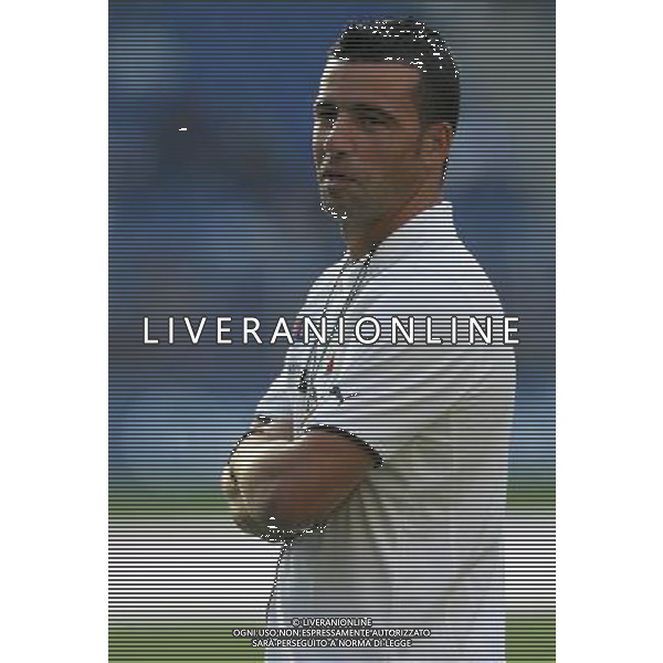 Basilea (CH) 12-08-2009 Amichevole Nazionale Italiana Calcio Svizzera-Italia 0:0 nella foto antonio di natale ph Marco Luzzani/ag. Aldo Liverani s.a.s.