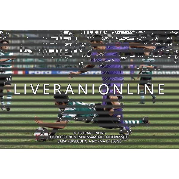 Champions League 2009/2010 Turno Preliminare Ritorno Firenze - 26.08.2009 Fiorentina-Sporting Lisbona Nella Foto:FALLO DI MANO DI PEREIRINHA SU MARCO MARCHIONNI CHE CHIEDE IL RIGORE /Ph.Vitez-Ag. Aldo Liverani
