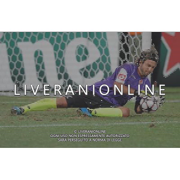 Champions League 2009/2010 Turno Preliminare Ritorno Firenze - 26.08.2009 Fiorentina-Sporting Lisbona Nella Foto:FREY SEBASTIAN /Ph.Vitez-Ag. Aldo Liverani