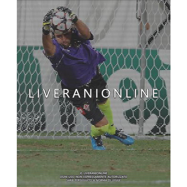 Champions League 2009/2010 Turno Preliminare Ritorno Firenze - 26.08.2009 Fiorentina-Sporting Lisbona Nella Foto:FREY SEBASTIAN /Ph.Vitez-Ag. Aldo Liverani