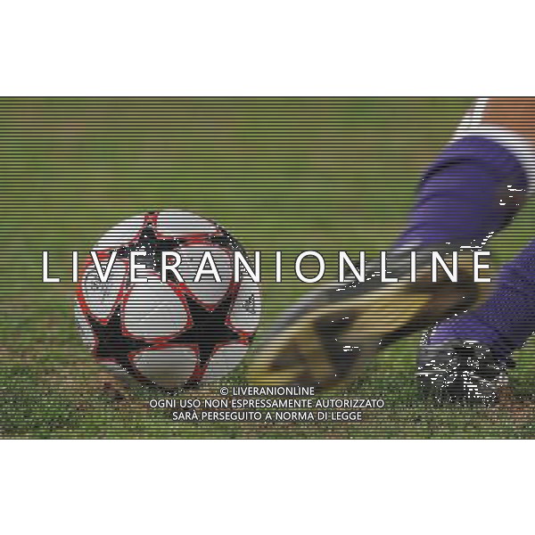 Champions League 2009/2010 Turno Preliminare Ritorno Firenze - 26.08.2009 Fiorentina-Sporting Lisbona Nella Foto:PALLONE CHAMPIONS LEAGUE /Ph.Vitez-Ag. Aldo Liverani