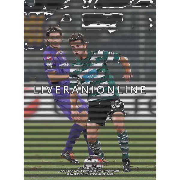 Champions League 2009/2010 Turno Preliminare Ritorno Firenze - 26.08.2009 Fiorentina-Sporting Lisbona Nella Foto:PEREIRINHA BRUNO /Ph.Vitez-Ag. Aldo Liverani