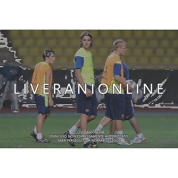 Supercoppa Europea 2009 Montecarlo - 27.08.2009 Allenamento Barcellona Nella Foto:IBRAHIMOVIC ZLATAN /Ph.Vitez-Ag. Aldo Liverani