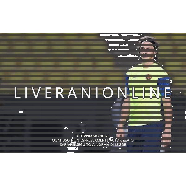 Supercoppa Europea 2009 Montecarlo - 27.08.2009 Allenamento Barcellona Nella Foto:IBRAHIMOVIC ZLATAN /Ph.Vitez-Ag. Aldo Liverani