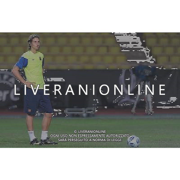 Supercoppa Europea 2009 Montecarlo - 27.08.2009 Allenamento Barcellona Nella Foto:IBRAHIMOVIC ZLATAN /Ph.Vitez-Ag. Aldo Liverani