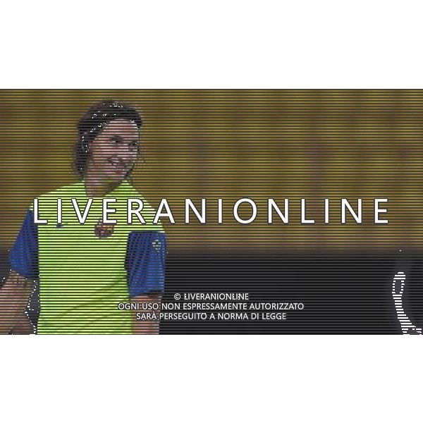 Supercoppa Europea 2009 Montecarlo - 27.08.2009 Allenamento Barcellona Nella Foto:IBRAHIMOVIC ZLATAN /Ph.Vitez-Ag. Aldo Liverani