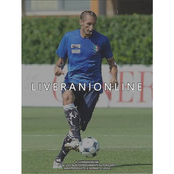 Raduno Nazionale Italiana a Coverciano Coverciano(FI) - 01.09.2009 Allenamento Nella Foto:CHIELLINI /Ph.Vitez-Ag. Aldo Liverani