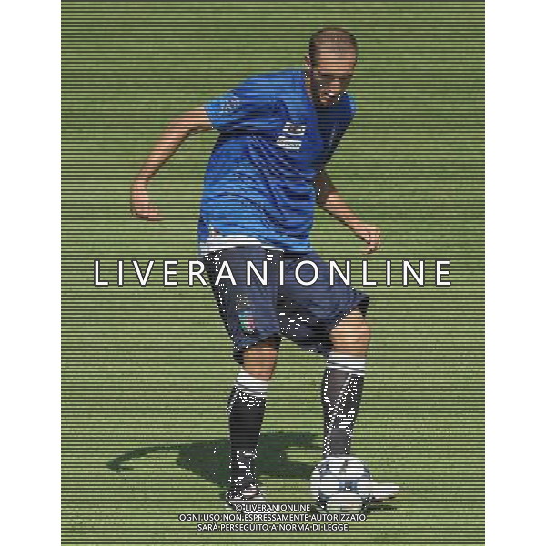 Raduno Nazionale Italiana a Coverciano Coverciano(FI) - 01.09.2009 Allenamento Nella Foto:CHIELLINI /Ph.Vitez-Ag. Aldo Liverani