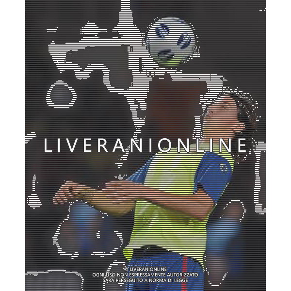 Supercoppa Europea 2009 Montecarlo - 28.08.2009 FC Barcellona-FC Shakhtar Donetsk Nella Foto:IBRAHIMOVIC ZLATAN /Ph.Vitez-Ag. Aldo Liverani