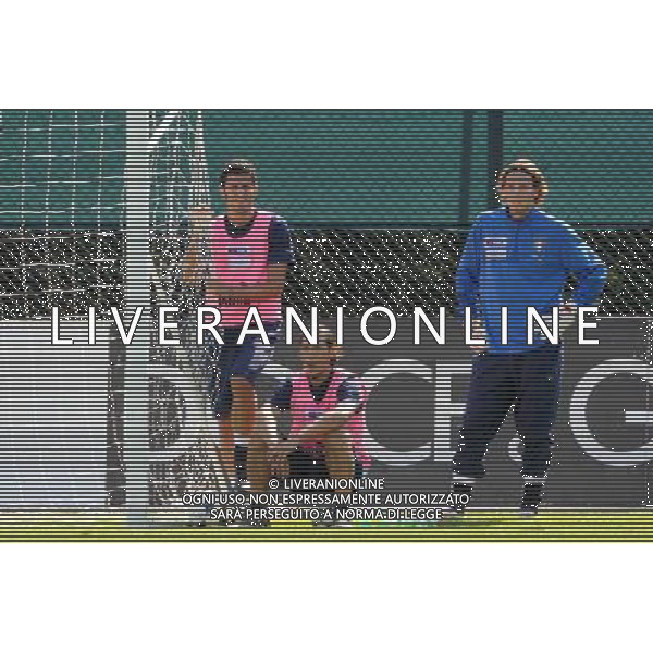 08-09-2009 Torino Sport-Calcio Allenamento Italia allo Stadio Olimpico di Torino Nella foto: Grosso, Camoranesi e Marchettii ag aldo liverani 
