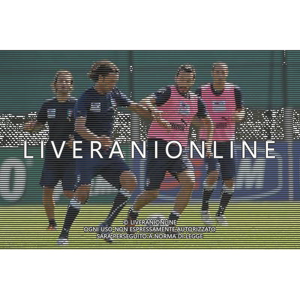 08-09-2009 Torino Sport-Calcio Allenamento Italia allo Stadio Olimpico di Torino Nella foto:Nicola Legrottaglie e Zambrotta Gianluca ag aldo liverani 
