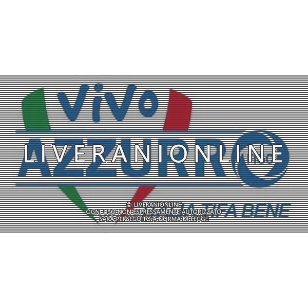 Torino 8-09-2009 Presentazione card del tifoso della Nazionale Nella foto:logo vivo azzurro nazionale di calcio AG ALDO LIVERANI 