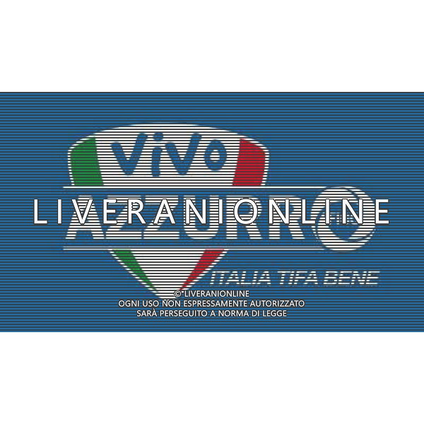 Torino 8-09-2009 Presentazione card del tifoso della Nazionale Nella foto:logo vivo azzurro nazionale di calcio AG ALDO LIVERANI 