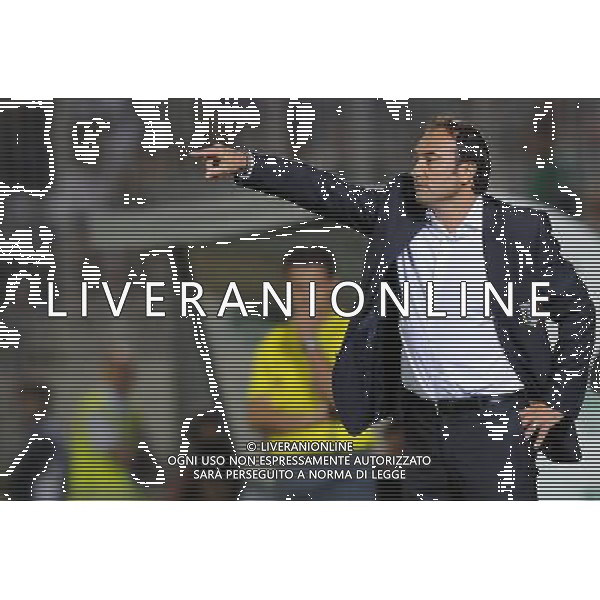 Qualificazioni ai Campionati Europei Under 21 Girone 3 Novara - 08.09.2009 Italia-Lussenburgo Nella Foto:CASIRAGHI PIERLUIGI /Ph.Vitez-Ag. Aldo Liverani