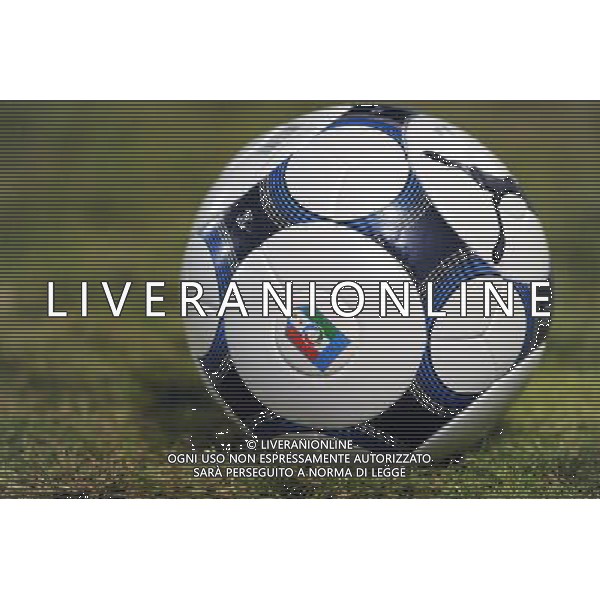 Qualificazioni ai Campionati Europei Under 21 Girone 3 Novara - 08.09.2009 Italia-Lussenburgo Nella Foto:PALLONE NAZIONALE ITALIANA /Ph.Vitez-Ag. Aldo Liverani