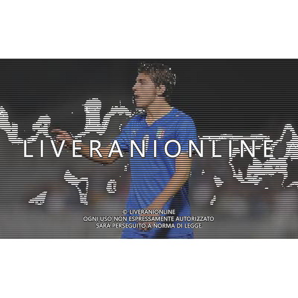 Qualificazioni ai Campionati Europei Under 21 Girone 3 Novara - 08.09.2009 Italia-Lussenburgo Nella Foto:PALOSCHI ALBERTO /Ph.Vitez-Ag. Aldo Liverani