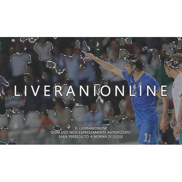 Qualificazioni ai Campionati Mondiali Sud Africa 2010 Gruppo 8 Torino - 09.09.2009 Italia-Bulgaria Nella Foto: ESULTANZA DOPO IL GOL DI VINCENZO IAQUINTA /Ph.Vitez-Ag. Aldo Liverani