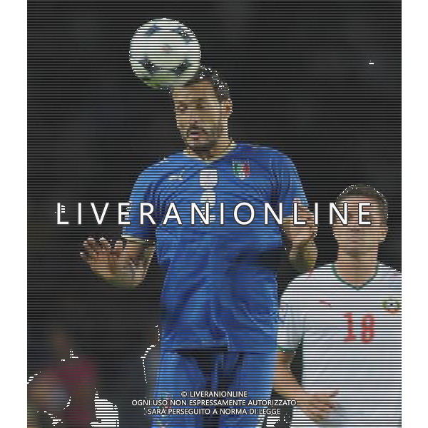 Qualificazioni ai Campionati Mondiali Sud Africa 2010 Gruppo 8 Torino - 09.09.2009 Italia-Bulgaria Nella Foto:ZAMBROTTA GIANLUCA /Ph.Vitez-Ag. Aldo Liverani