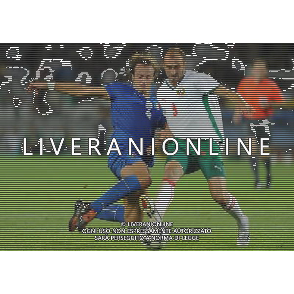 Qualificazioni ai Campionati Mondiali Sud Africa 2010 Gruppo 8 Torino - 09.09.2009 Italia-Bulgaria Nella Foto:GILARDINO ALBERTO E STOYANOV /Ph.Vitez-Ag. Aldo Liverani