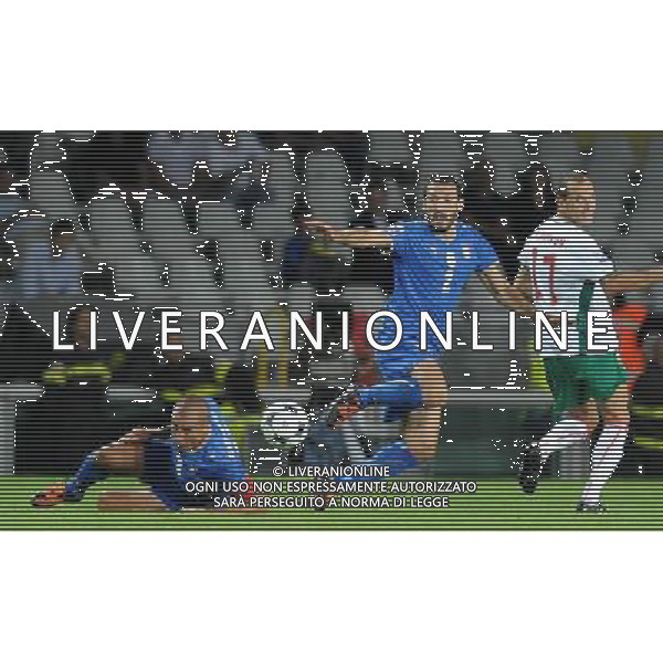 Qualificazioni ai Campionati Mondiali Sud Africa 2010 Gruppo 8 Torino - 09.09.2009 Italia-Bulgaria Nella Foto:SCONTRO TRA FABIO CANNAVARO E GIANLUCA ZAMBROTTA /Ph.Vitez-Ag. Aldo Liverani