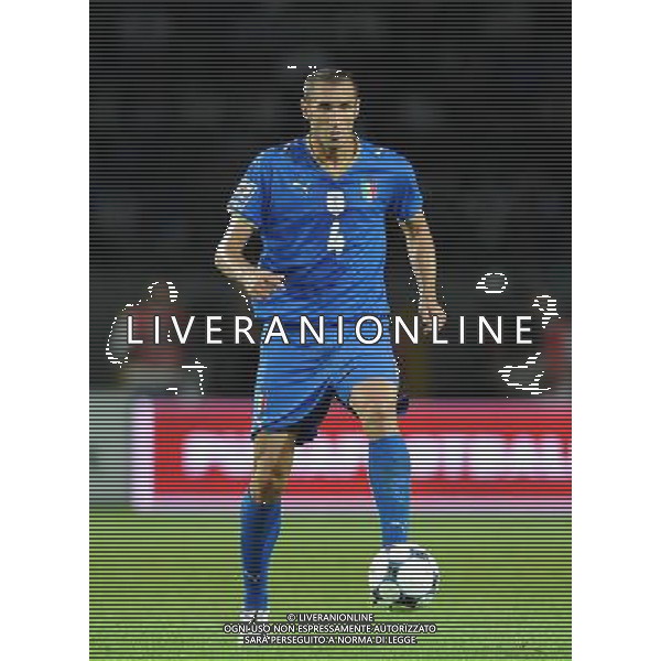 Qualificazioni ai Campionati Mondiali Sud Africa 2010 Gruppo 8 Torino - 09.09.2009 Italia-Bulgaria Nella Foto:CHIELLINI GIORGIO /Ph.Vitez-Ag. Aldo Liverani