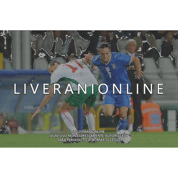 Qualificazioni ai Campionati Mondiali Sud Africa 2010 Gruppo 8 Torino - 09.09.2009 Italia-Bulgaria Nella Foto:CAMORANESI MAURO /Ph.Vitez-Ag. Aldo Liverani